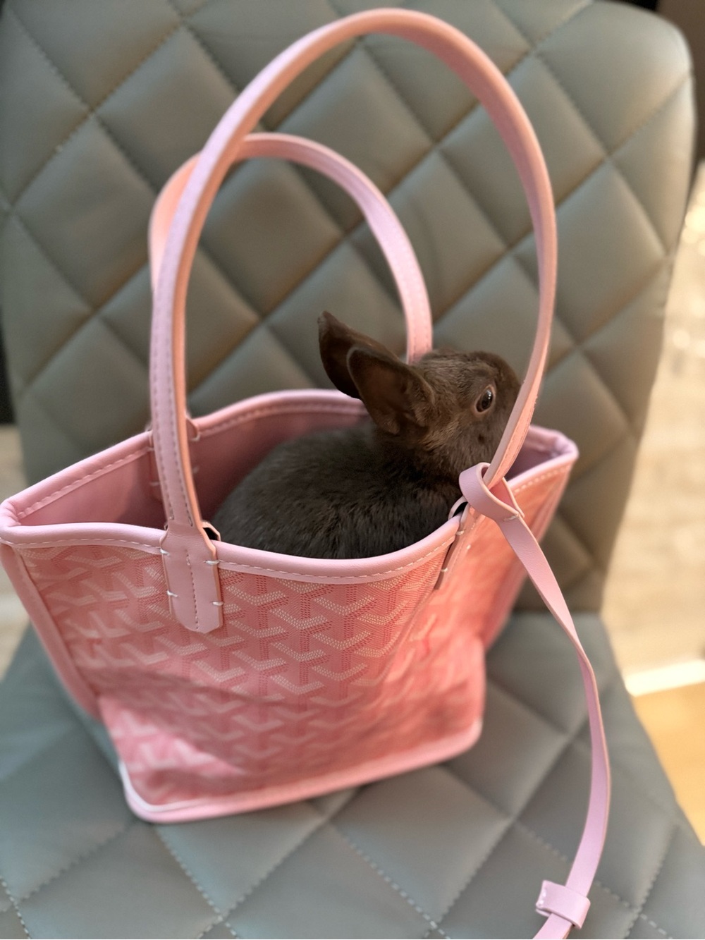 Goyard Pink Small Tote Bag